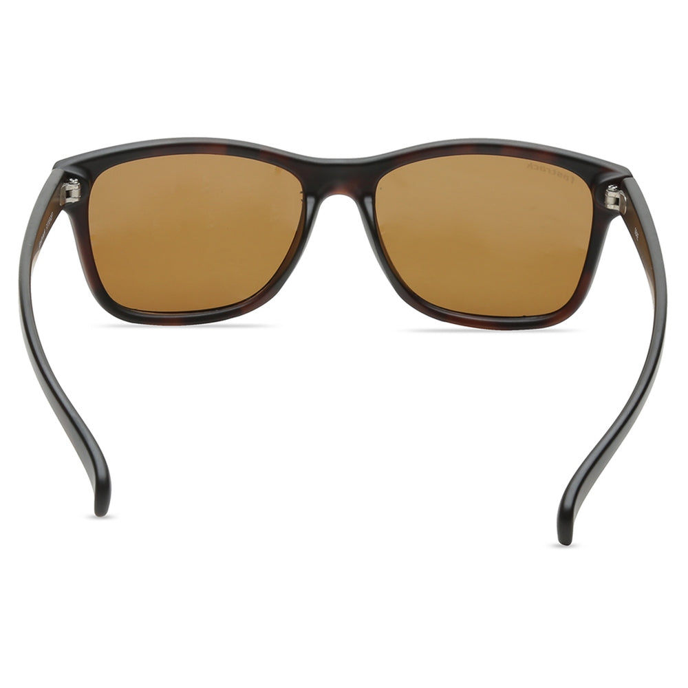 Brown Square Men Sunglasses